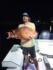 A single hogfish caught in Lake Worth