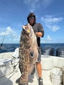 Caught a huge black grouper while fishing in Lake Worth