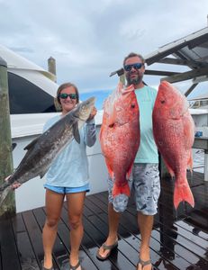 3 king mackerel, 32 inches, caught by 4 people on Dauphin Island fishing cruises