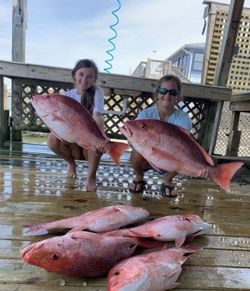 5 big fish caught during a cruise and fishing trip on Dauphin Island