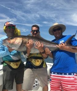 Three anglers with a big fish in Alabama