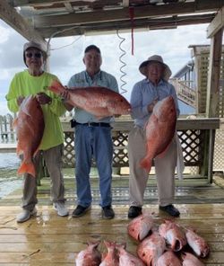 3 large fish caught during cruises and fishing trip on Dauphin Island