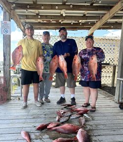 Successful fishing trip with 7 fish caught in AL