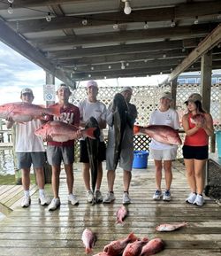 5 fish caught during cruises and fishing trip in AL