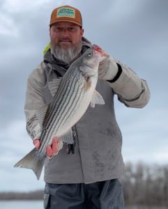 Striped bass success! 🎣🐟