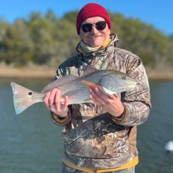 Redfish beauty! 🔥🎣