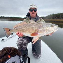 Big redfish day! 🎣🔥