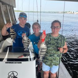 3 black drum and sheepshead fish caught during fishing cruises in NC