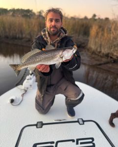 Fish-Species