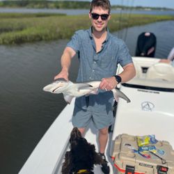 A lone Atlantic Sharpnose Shark, 14 inches in size, caught in NC