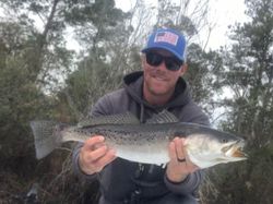 A single spotted weakfish, 23 inches long, caught in Hubert.