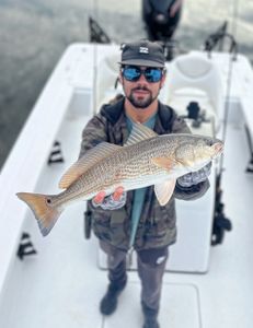 Redfish caught in Hubert