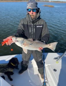 Redfish caught in NC