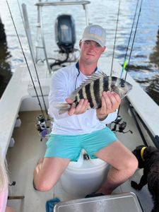 A sheepshead fish measuring 16 inches, caught in NC