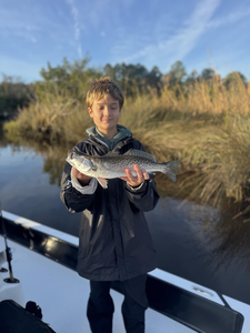 Nice speckled trout on light tackle today!