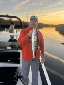 Nice speckled trout on light tackle during perfect clear conditions!