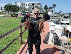 Lobster Fiesta in West Palm Beach!