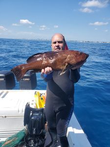 Deep Sea Fishing West Palm Beach Fl