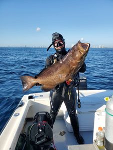 Angler with a 30-inch fish in FL