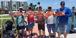 Fisherman with 18-inch hogfish catch in Florida
