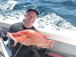 Hogfish caught while fishing in Florida