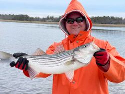 Fall Striped Bass fishing in Cape May!