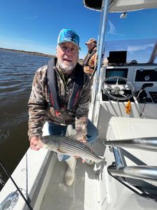 Striped bass success!