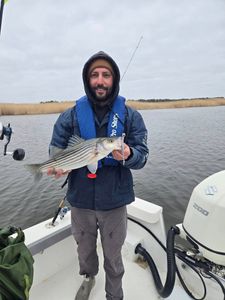 Proud angler with a fresh striped bass catch!
