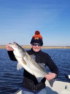Striped bass caught in Avalon
