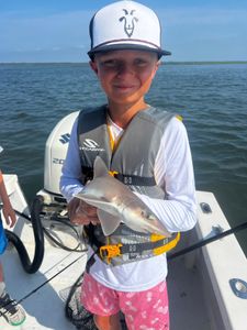 Dusky Smooth-Hound fish caught by a person in NJ