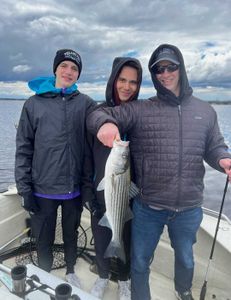 Striped bass caught while fishing in NJ
