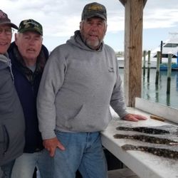 Three people enjoying a great fishing trip in Avalon