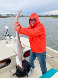 Sandbar shark fishing in NJ