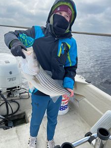 Angler with striped bass fish caught in Avalon