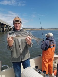 Striped bass caught while fishing in Avalon