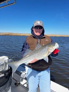 A fisherman holds a striped bass caught in Avalon