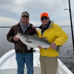 Striped bass caught while fishing in Avalon