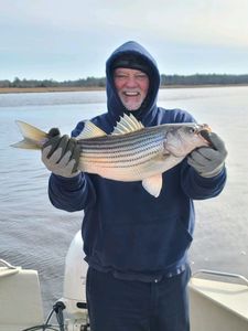 Striped bass caught fishing in Avalon