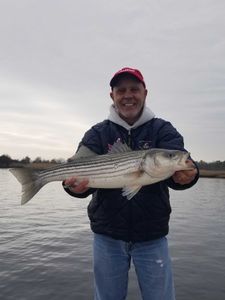Striped bass caught by angler in NJ