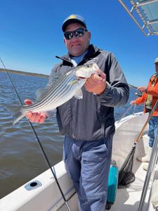 Striped bass caught while fishing in NJ