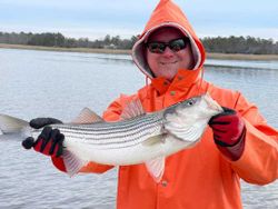 Striped bass caught on fishing trip in NJ