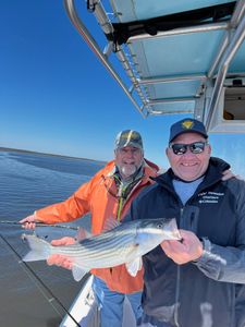 27-inch striped bass caught while fishing in NJ