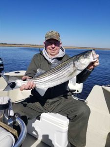 Striped bass caught while fishing in NJ