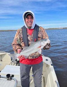 Striped Bass caught in NJ