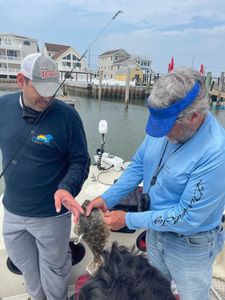1 person fishing in NJ