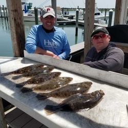 Four summer flounder fish caught in Avalon