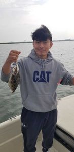 Summer Flounder fish caught while fishing in NJ