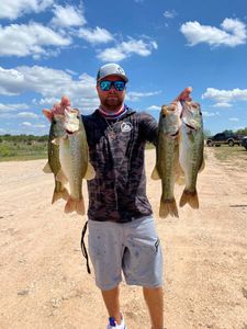 Giant Largemouth from O.H. Ivie