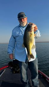 Lunker Bass, O.H. Ivie Style