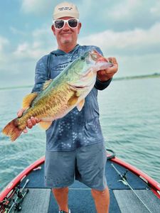 Another Largemouth Bass from O.H. Ivie